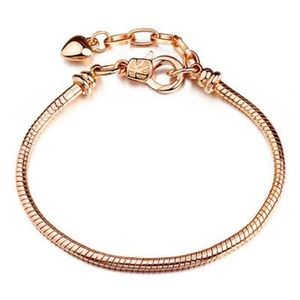 Pandora Charm Ready Thick Chain Bracelet